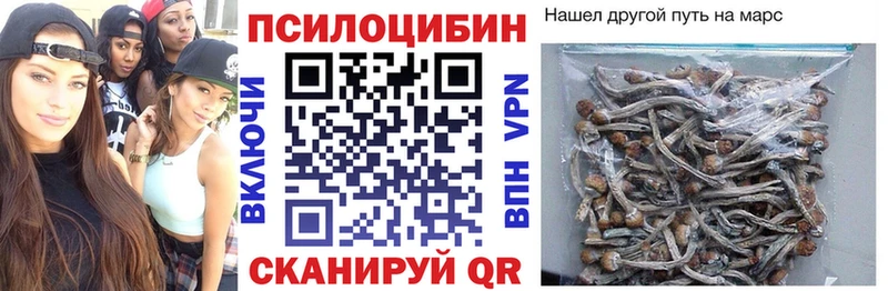 Псилоцибиновые грибы GOLDEN TEACHER  Орехово-Зуево 